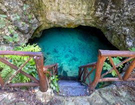Lais Puzzle - Die malerische Cenote Casa Tortuga in der Nähe von Tulum und Playa Del Carmen, eine beliebte Touristenattraktion für den lokalen und internationalen Tourismus - 40, 100, 200, 500, 1.000 & 2.000 Teile