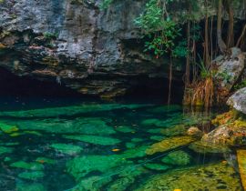 Lais Puzzle - Fullshot einer wunderschönen Cenote mit klarem Wasser in Mexiko - 40, 100, 200, 500, 1.000 & 2.000 Teile
