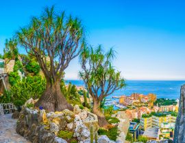 Lais Puzzle - Jardin Exotique Garten in Monaco - 40, 100, 200, 500, 1.000 & 2.000 Teile