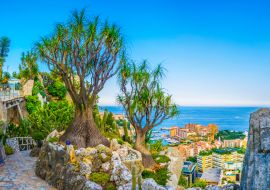 Lais Puzzle - Jardin Exotique Garten in Monaco - 1.000 Teile