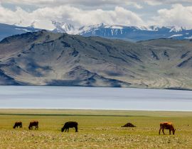 Lais Puzzle - Landschaft Mongolei - 40, 100, 200, 500, 1.000 & 2.000 Teile