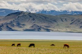 Lais Puzzle - Landschaft Mongolei - 2.000 Teile