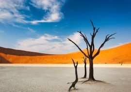 Lais Puzzle - Tote Bäume und rote Dünen im Dead Vlei, Sossusvlei, Namibia, Konzept für Reisen in Afrika - 1.000 Teile
