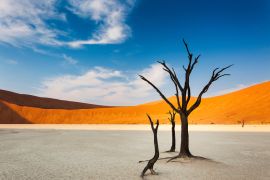 Lais Puzzle - Tote Bäume und rote Dünen im Dead Vlei, Sossusvlei, Namibia, Konzept für Reisen in Afrika - 2.000 Teile