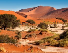 Lais Puzzle - Sanddünen bei Sossusvlie - Namib-Wüste - Namibia - 40, 100, 200, 500, 1.000 & 2.000 Teile
