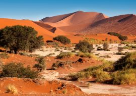 Lais Puzzle - Sanddünen bei Sossusvlie - Namib-Wüste - Namibia - 1.000 Teile