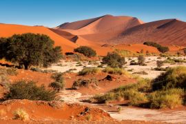 Lais Puzzle - Sanddünen bei Sossusvlie - Namib-Wüste - Namibia - 2.000 Teile