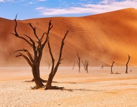 Lais Puzzle - Tote Bäume im Deadvlei in Namibia - 40, 100, 200, 500, 1.000 & 2.000 Teile