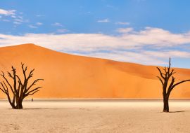 Lais Puzzle - Namibische Wüstenlandschaft - 1.000 Teile