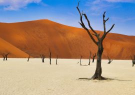 Lais Puzzle - Totes Vlei (Namib-Naukluft Park) - Namibia Afrika - 1.000 Teile