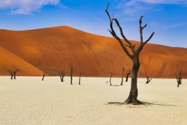 Lais Puzzle - Totes Vlei (Namib-Naukluft Park) - Namibia Afrika - 2.000 Teile