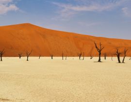 Lais Puzzle - Totes Vlei (Namib-Naukluft-Park) - Namibia Afrika - 40, 100, 200, 500, 1.000 & 2.000 Teile