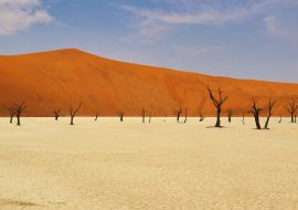 Lais Puzzle - Totes Vlei (Namib-Naukluft-Park) - Namibia Afrika - 1.000 Teile