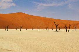 Lais Puzzle - Totes Vlei (Namib-Naukluft-Park) - Namibia Afrika - 2.000 Teile