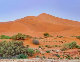 Lais Puzzle - Sossusvlei (Namib-Naukluft Park) - Namibia Afrika - 40, 100, 200, 500, 1.000 & 2.000 Teile