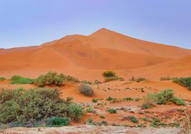 Lais Puzzle - Sossusvlei (Namib-Naukluft Park) - Namibia Afrika - 1.000 Teile
