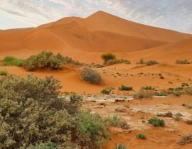 Lais Puzzle - Sossusvlei (Namib-Naukluft-Park) - Namibia Afrika - 40, 100, 200, 500, 1.000 & 2.000 Teile