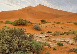 Lais Puzzle - Sossusvlei (Namib-Naukluft-Park) - Namibia Afrika - 1.000 Teile