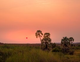 Lais Puzzle - Sonnenuntergang in der Palwag Lodge im Damaraland, Namibia - 40, 100, 200, 500, 1.000 & 2.000 Teile