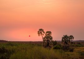 Lais Puzzle - Sonnenuntergang in der Palwag Lodge im Damaraland, Namibia - 1.000 Teile
