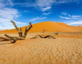 Lais Puzzle - Bacharn-Dünen bei Soussusvlei, Namibia - 40, 100, 200, 500, 1.000 & 2.000 Teile