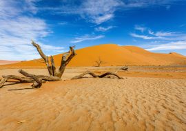 Lais Puzzle - Bacharn-Dünen bei Soussusvlei, Namibia - 1.000 Teile