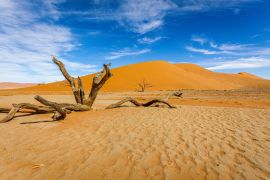 Lais Puzzle - Bacharn-Dünen bei Soussusvlei, Namibia - 2.000 Teile