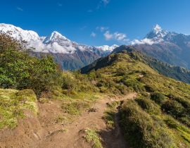 Lais Puzzle - Wunderschöner Trekkingpfad in der Mardi Himal Trekkingroute in der Annapurna Gebirgskette, Teilbereich der Himalya Gebirgskette, Nepal - 40, 100, 200, 500, 1.000 & 2.000 Teile