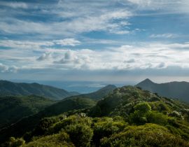 Lais Puzzle - Aussicht vom Mt Pirongia, Pirongia Forest Park, Waikato Region auf der Nordinsel, Neuseeland - 40, 100, 200, 500, 1.000 & 2.000 Teile