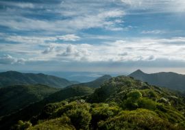 Lais Puzzle - Aussicht vom Mt Pirongia, Pirongia Forest Park, Waikato Region auf der Nordinsel, Neuseeland - 1.000 Teile