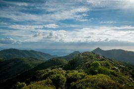 Lais Puzzle - Aussicht vom Mt Pirongia, Pirongia Forest Park, Waikato Region auf der Nordinsel, Neuseeland - 2.000 Teile