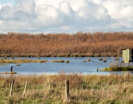 Lais Puzzle - Entenjagd Blind in Neuseeland Lake Wairarapa - 40, 100, 200, 500, 1.000 & 2.000 Teile