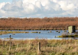 Lais Puzzle - Entenjagd Blind in Neuseeland Lake Wairarapa - 1.000 Teile
