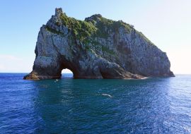 Lais Puzzle - Blick auf das Hole in the Rock in der Bay of Islands, Nordinsel, Neuseeland - 1.000 Teile