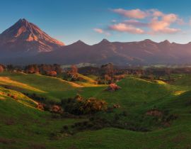 Lais Puzzle - Mount Taranaki unter blauem Himmel mit Grasland und Kühen im Vordergrund im Egmont National Park, den symmetrischsten Vulkankegeln, Taranaki, Neuseeland Grünes Farmland im Vordergrund - 40, 100, 200, 500, 1.000 & 2.000 Teile
