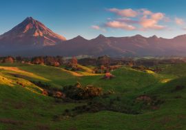 Lais Puzzle - Mount Taranaki unter blauem Himmel mit Grasland und Kühen im Vordergrund im Egmont National Park, den symmetrischsten Vulkankegeln, Taranaki, Neuseeland Grünes Farmland im Vordergrund - 1.000 Teile