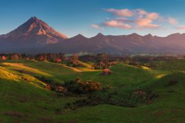 Lais Puzzle - Mount Taranaki unter blauem Himmel mit Grasland und Kühen im Vordergrund im Egmont National Park, den symmetrischsten Vulkankegeln, Taranaki, Neuseeland Grünes Farmland im Vordergrund - 2.000 Teile