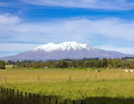 Lais Puzzle - Mount Ruapehu Vulkan in Neuseeland - 40, 100, 200, 500, 1.000 & 2.000 Teile
