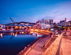 Lais Puzzle - Nachtlandschaft von Wellington City, Neuseeland - 40, 100, 200, 500, 1.000 & 2.000 Teile