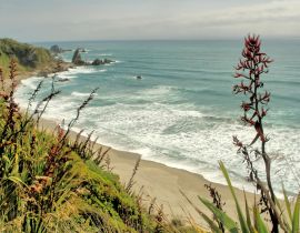 Lais Puzzle - Cape Foulwind an der Westküste der Südinsel Neuseelands, mit Blick auf die Tasmanische See - 40, 100, 200, 500, 1.000 & 2.000 Teile