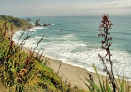 Lais Puzzle - Cape Foulwind an der Westküste der Südinsel Neuseelands, mit Blick auf die Tasmanische See - 1.000 Teile