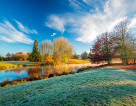 Lais Puzzle - Neuseeland - Waikato - Herbstlandschaften - 40, 100, 200, 500, 1.000 & 2.000 Teile