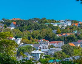 Lais Puzzle - Wohnhäuser in Wellington, Neuseeland - 40, 100, 200, 500, 1.000 & 2.000 Teile