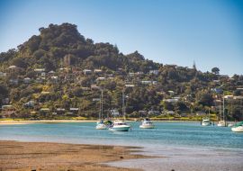 Lais Puzzle - Küste und Boote auf der Coromandel-Halbinsel, Neuseeland - 1.000 Teile