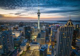 Lais Puzzle - Auckland Stadt Neuseeland - 1.000 Teile