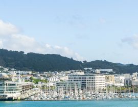 Lais Puzzle - Chaffer's Wharf und Yachthafen am Hafen von Wellington - 40, 100, 200, 500, 1.000 & 2.000 Teile