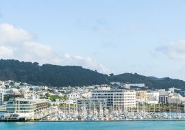 Lais Puzzle - Chaffer's Wharf und Yachthafen am Hafen von Wellington - 1.000 Teile