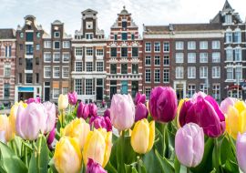 Lais Puzzle - Traditionelle alte Gebäude in Amsterdam mit bunten Tulpen - 1.000 Teile