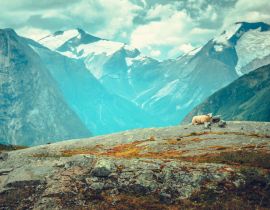 Lais Puzzle - Szenische norwegische Landschaft - 40, 100, 200, 500, 1.000 & 2.000 Teile