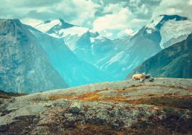 Lais Puzzle - Szenische norwegische Landschaft - 1.000 Teile